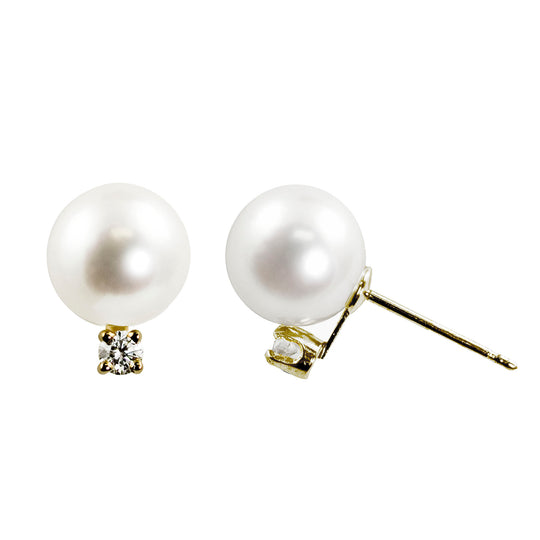 14KT Yellow Gold Akoya Pearl Earring