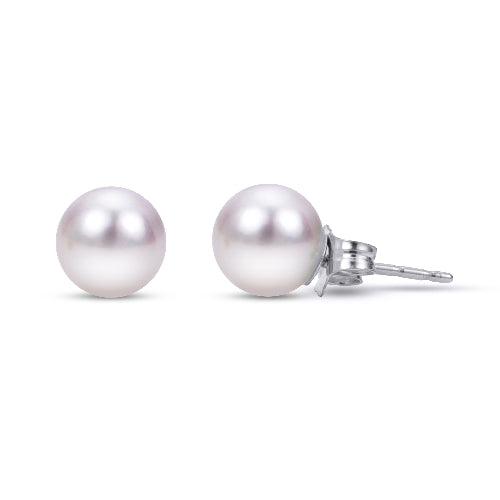 Crown Akoya Studs in 18K (Select MM Size & Gold Color)