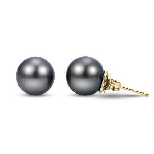 14 KT Tahitian Stud (Select Pearl Size, Quality, & Gold Color)