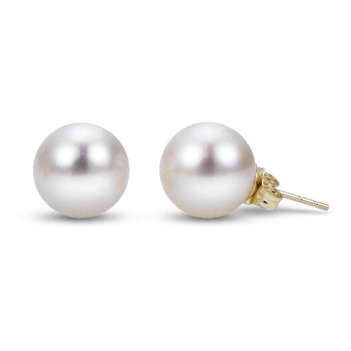 14 KT Freshwater Pearl Stud (Select Quality, Size, & Gold Color)