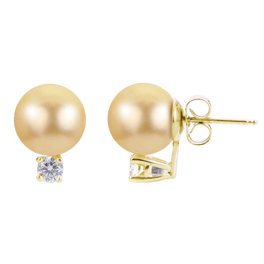 14KT Yellow Gold Golden South Sea Pearl Earring