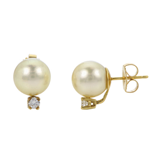 18KT Yellow Gold Akoya Earring